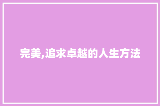 完美,追求卓越的人生方法 应用文