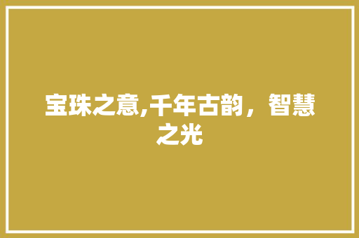 宝珠之意,千年古韵，智慧之光
