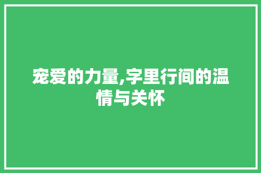 宠爱的力量,字里行间的温情与关怀