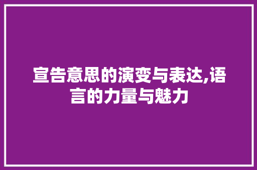 宣告意思的演变与表达,语言的力量与魅力 社交媒体
