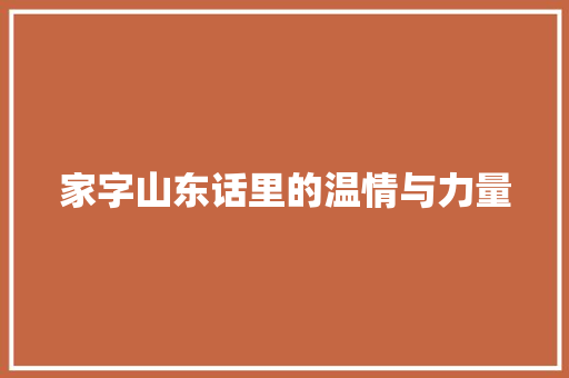 家字山东话里的温情与力量