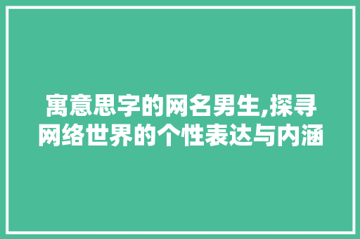 寓意思字的网名男生,探寻网络世界的个性表达与内涵 社交媒体