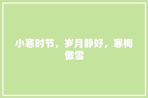 小寒时节，岁月静好，寒梅傲雪