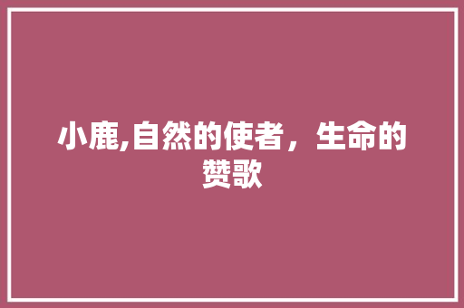 小鹿,自然的使者，生命的赞歌