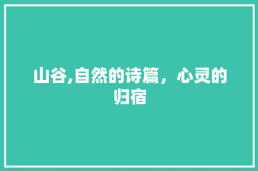 山谷,自然的诗篇，心灵的归宿