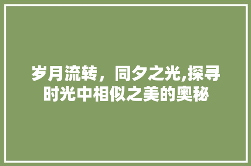 岁月流转，同夕之光,探寻时光中相似之美的奥秘
