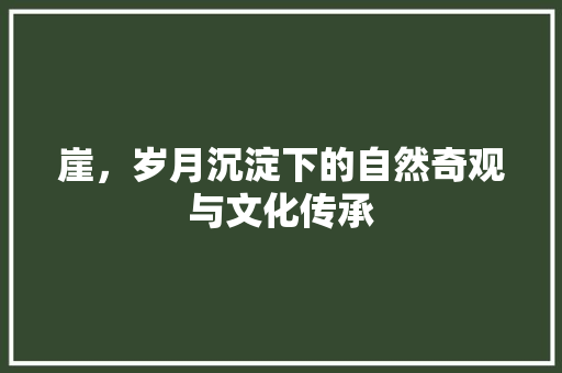 崖，岁月沉淀下的自然奇观与文化传承 职场写作