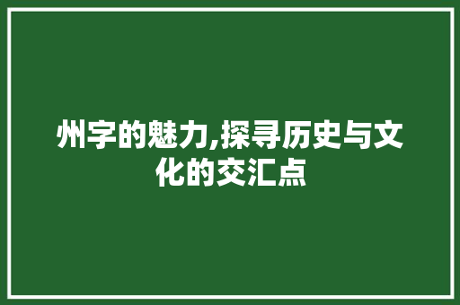 州字的魅力,探寻历史与文化的交汇点