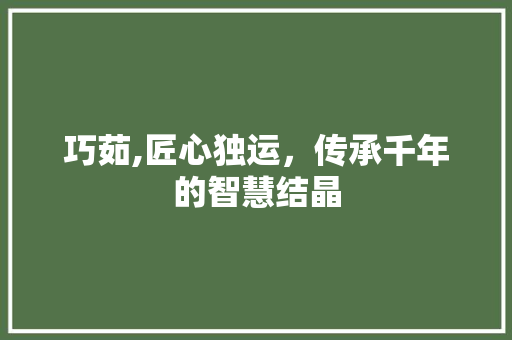 巧茹,匠心独运，传承千年的智慧结晶 社交媒体