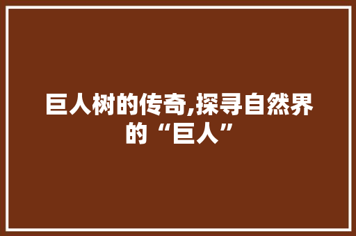 巨人树的传奇,探寻自然界的“巨人”