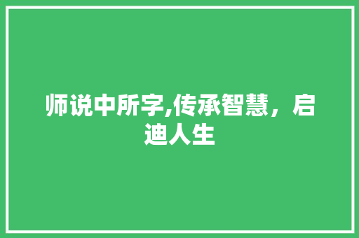 师说中所字,传承智慧，启迪人生