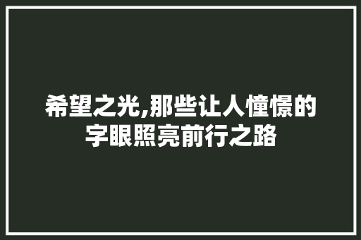 希望之光,那些让人憧憬的字眼照亮前行之路