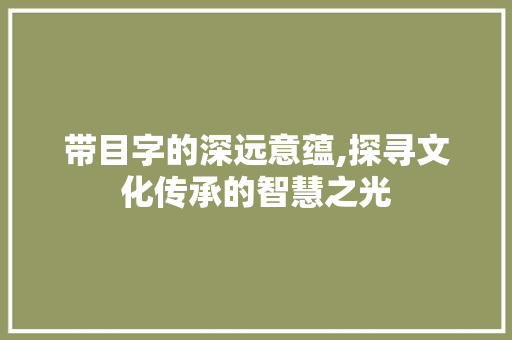 带目字的深远意蕴,探寻文化传承的智慧之光