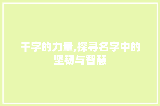 干字的力量,探寻名字中的坚韧与智慧