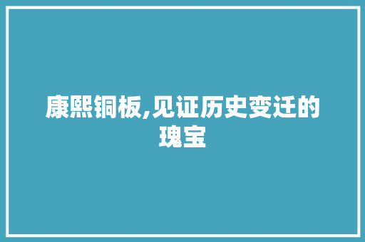 康熙铜板,见证历史变迁的瑰宝 诗词鉴赏