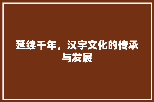 延续千年，汉字文化的传承与发展
