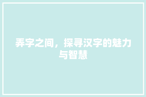 弄字之间，探寻汉字的魅力与智慧