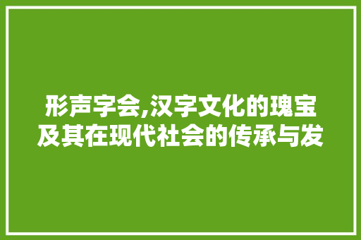 形声字会,汉字文化的瑰宝及其在现代社会的传承与发展