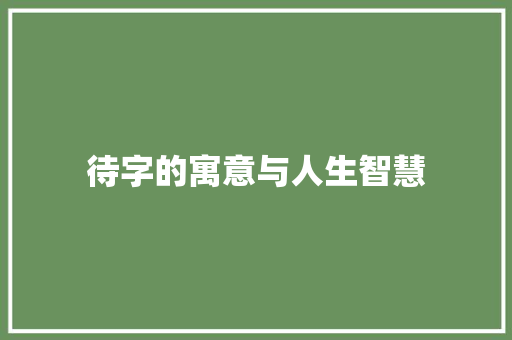 待字的寓意与人生智慧