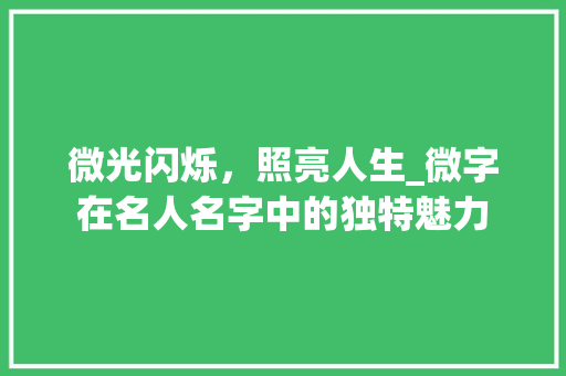 微光闪烁，照亮人生_微字在名人名字中的独特魅力 工作总结