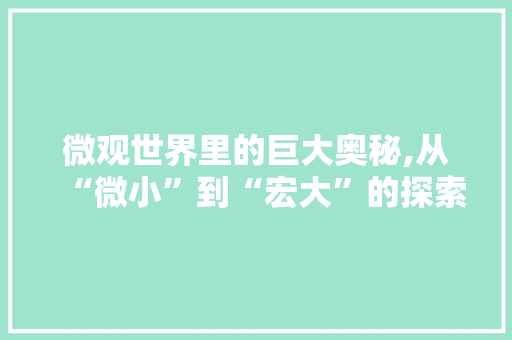微观世界里的巨大奥秘,从“微小”到“宏大”的探索之旅 社交媒体