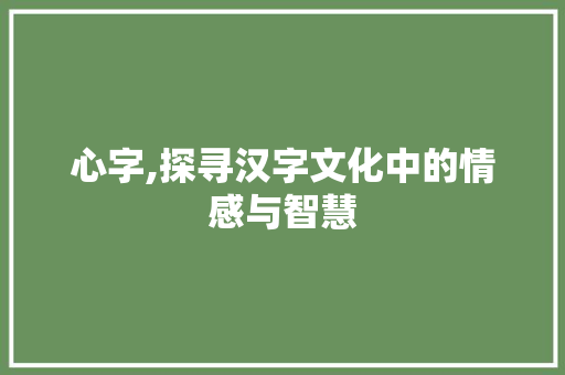 心字,探寻汉字文化中的情感与智慧 工作总结