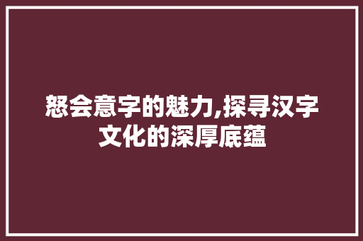 怒会意字的魅力,探寻汉字文化的深厚底蕴