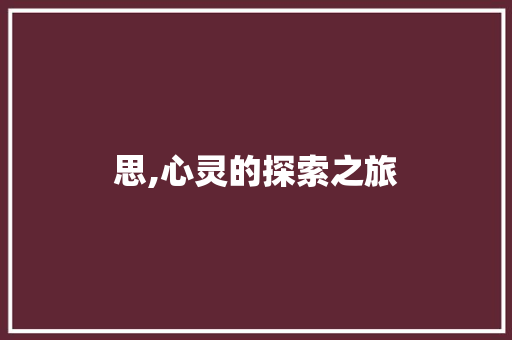 思,心灵的探索之旅
