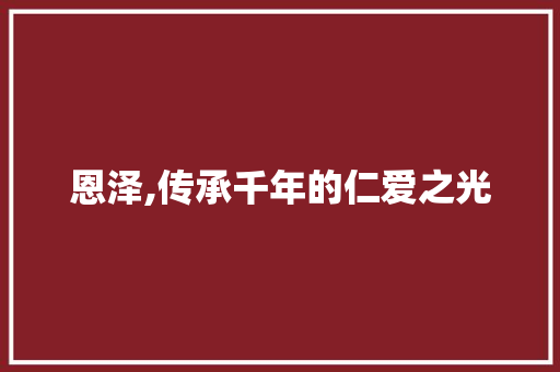 恩泽,传承千年的仁爱之光