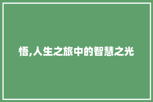 悟,人生之旅中的智慧之光