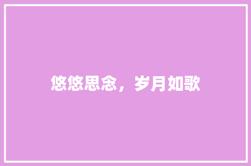 悠悠思念，岁月如歌