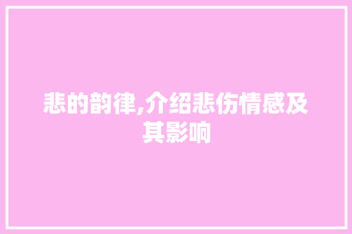 悲的韵律,介绍悲伤情感及其影响