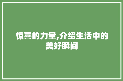 惊喜的力量,介绍生活中的美好瞬间