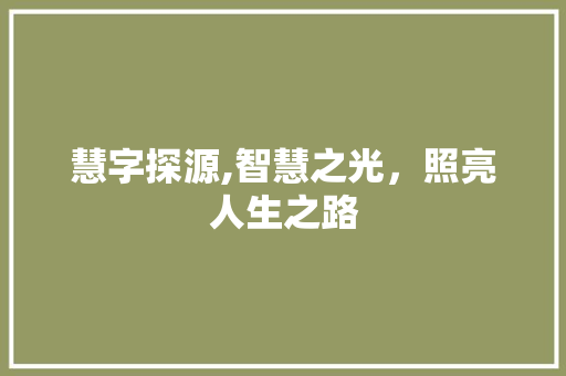 慧字探源,智慧之光，照亮人生之路