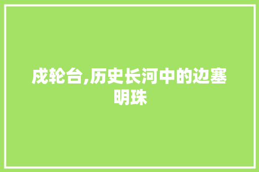 戍轮台,历史长河中的边塞明珠 诗词应用