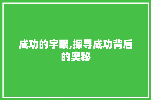 成功的字眼,探寻成功背后的奥秘