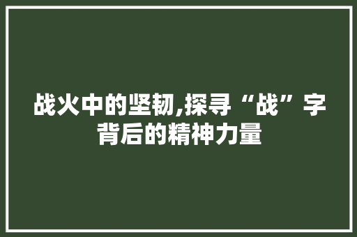战火中的坚韧,探寻“战”字背后的精神力量