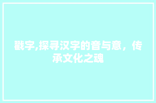 戳字,探寻汉字的音与意，传承文化之魂