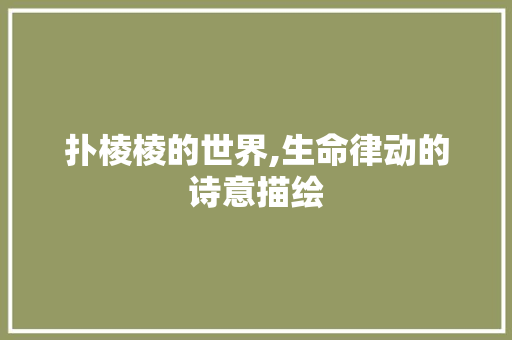 扑棱棱的世界,生命律动的诗意描绘