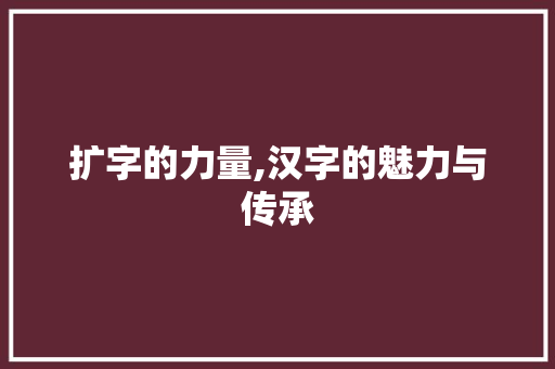 扩字的力量,汉字的魅力与传承 应用文