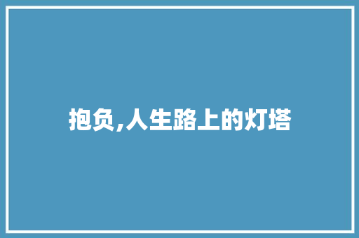 抱负,人生路上的灯塔