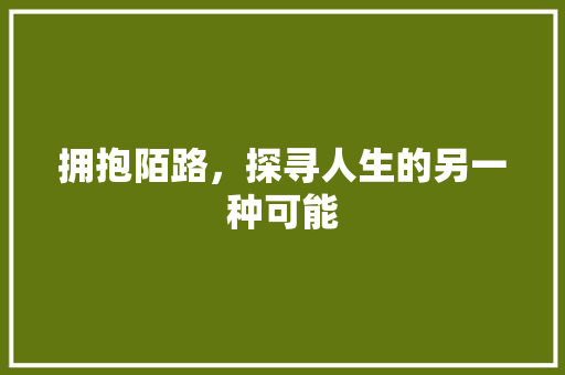 拥抱陌路，探寻人生的另一种可能
