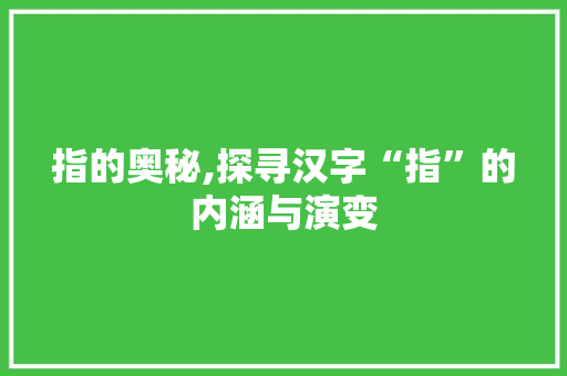 指的奥秘,探寻汉字“指”的内涵与演变