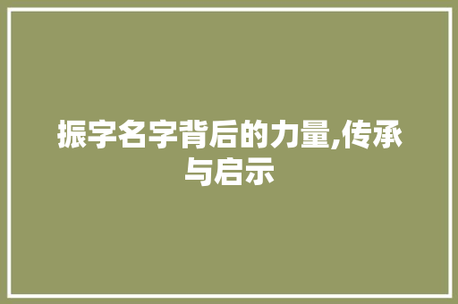 振字名字背后的力量,传承与启示