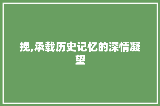 挽,承载历史记忆的深情凝望