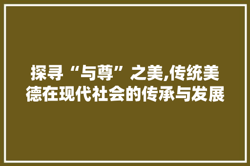 探寻“与尊”之美,传统美德在现代社会的传承与发展
