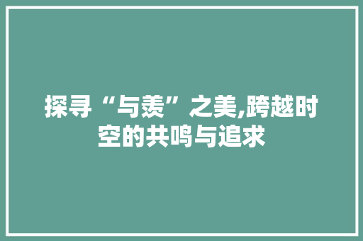 探寻“与羡”之美,跨越时空的共鸣与追求