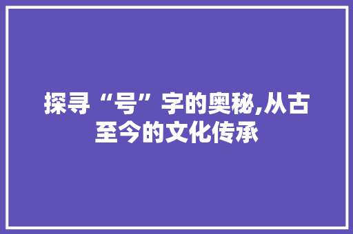 探寻“号”字的奥秘,从古至今的文化传承 项目报告