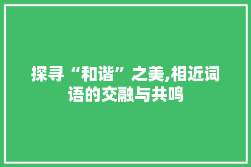 探寻“和谐”之美,相近词语的交融与共鸣