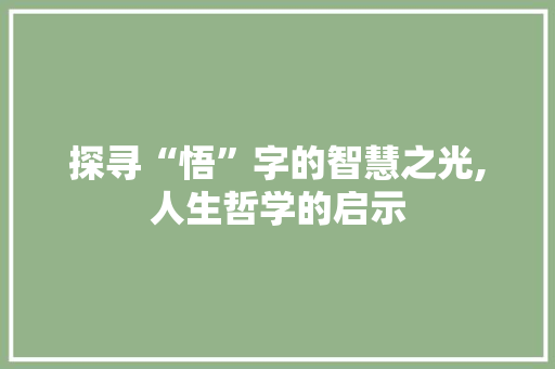 探寻“悟”字的智慧之光,人生哲学的启示